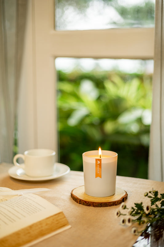 WHITE FROST | GLASS JAR | SOY WAX CANDLE