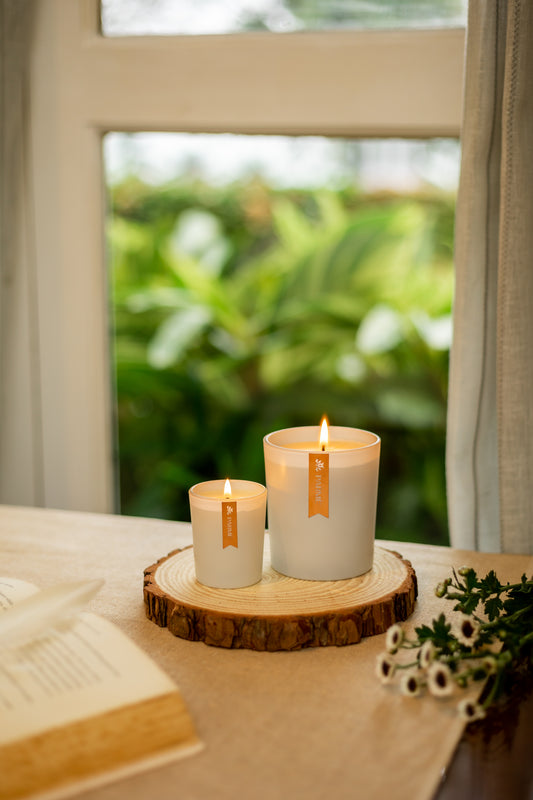 WHITE FROST | SET OF 2 | SOY WAX CANDLE