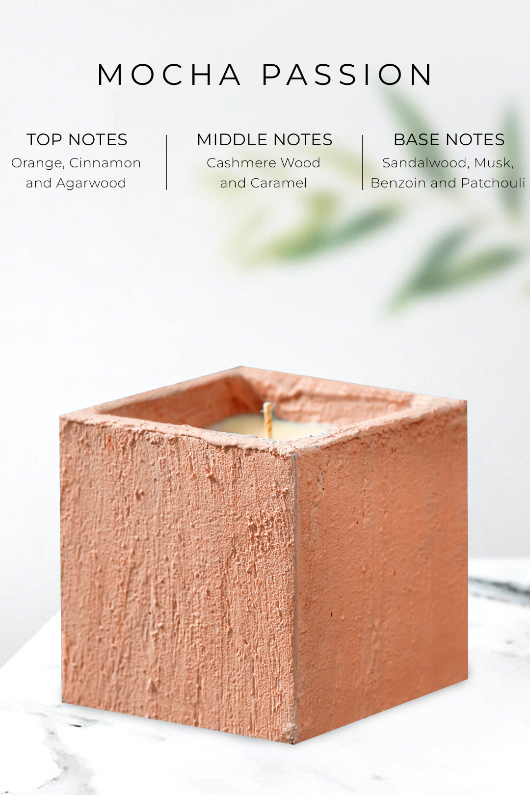 MOCHA PASSION - SQUARE | SET OF 3