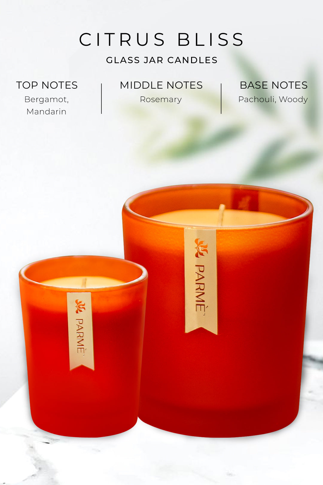 CITRUS BLISS | SET OF 2 | SOY WAX CANDLE