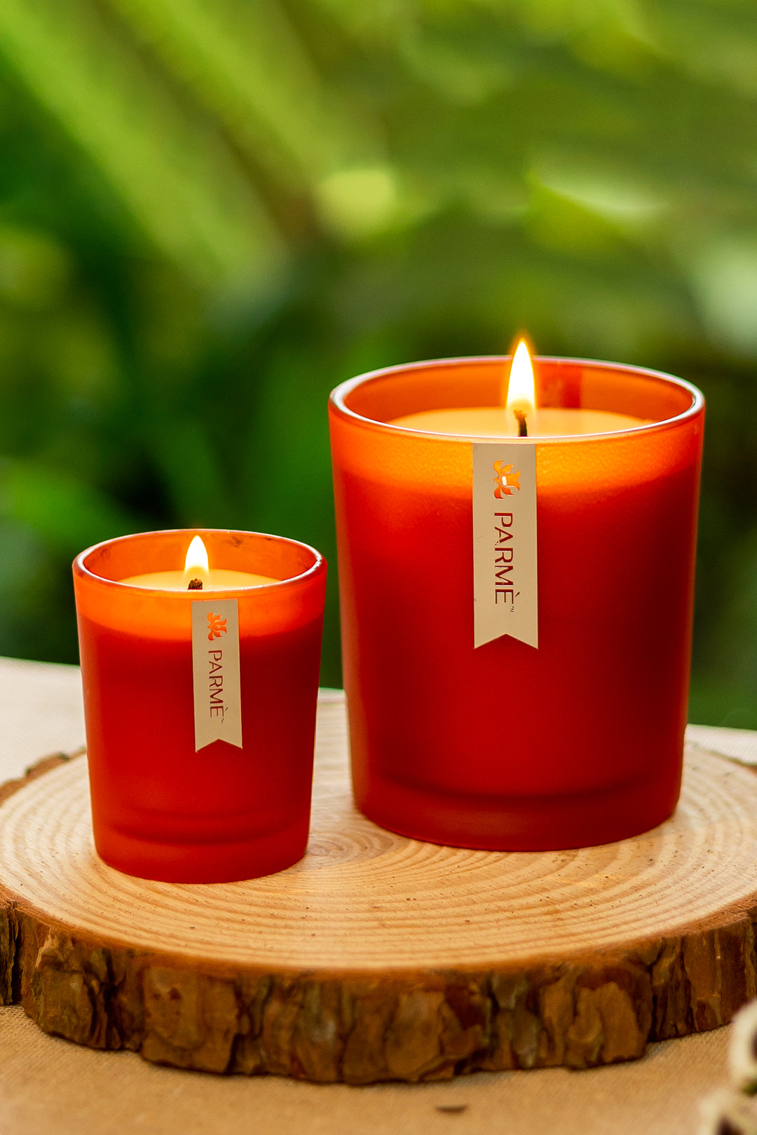 CITRUS BLISS | SET OF 2 | SOY WAX CANDLE