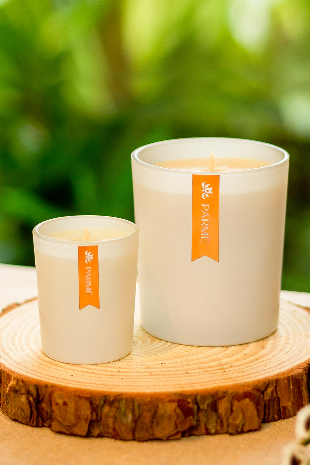 WHITE FROST | SET OF 2 | SOY WAX CANDLE
