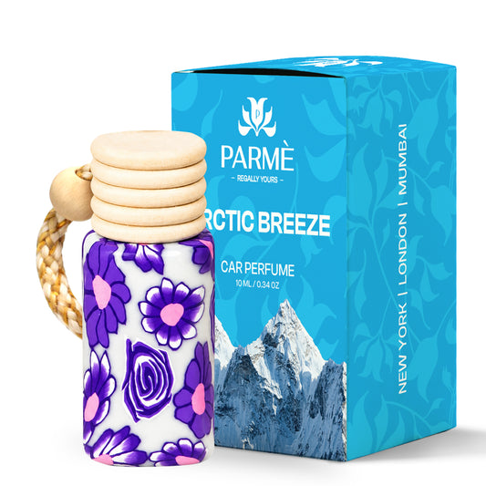 ARCTIC BREEZE