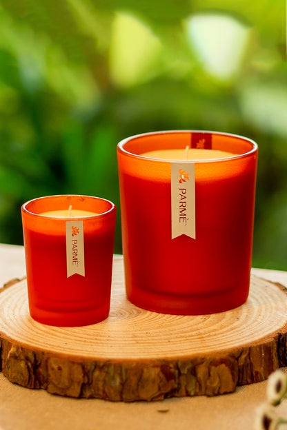 CITRUS BLISS | SET OF 2 | SOY WAX CANDLE